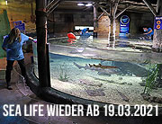 SEA LIFE München ab 19.3.2021 wieder geöffnet. Ab Freitag heißt es wieder Familienzeit und gemeinsamer Spaß in der Unterwasserwelt  (©Foto: Martin Schmitz)